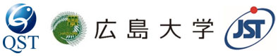 量子科学技術研究開発機構,広島大学,科学技術振興機構（ＪＳＴ）
