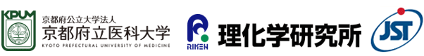 京都府立医科大学,理化学研究所,科学技術振興機構（ＪＳＴ）