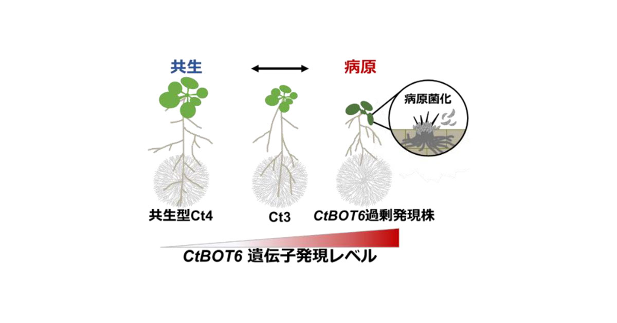 微生物はなぜ病気を起こすか: ゲノムの特徴第18回「大学と科学