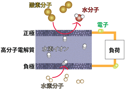 図１