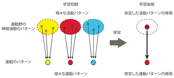 図２