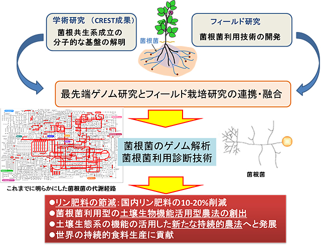 図4