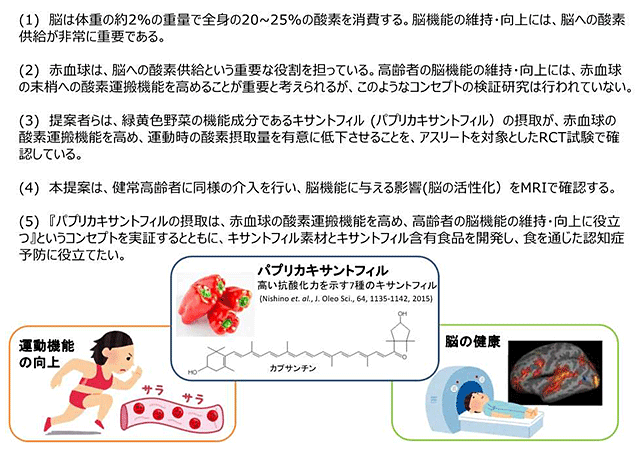 機構報 第1137号 別添 入選アイデア一覧