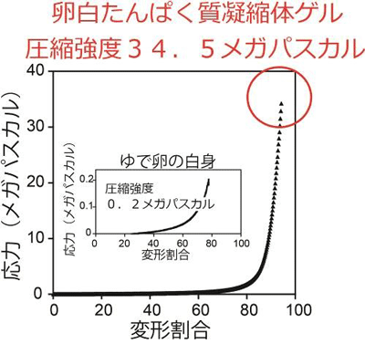 図３　卵白たんぱく質凝縮体ゲルの圧縮強度