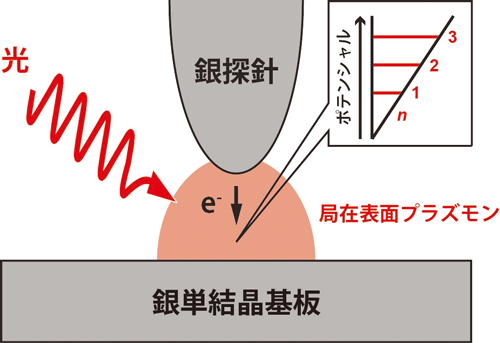 図１　低温走査トンネル顕微鏡（ＳＴＭ）を用いた可視光による局在表面プラズモンの励起を介した新たな電子輸送現象のイメージ図