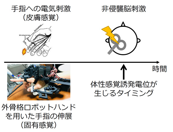 図２　実験方法