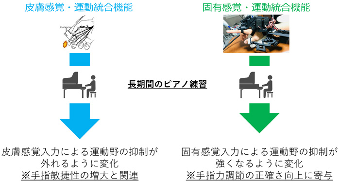 図３　本研究の成果