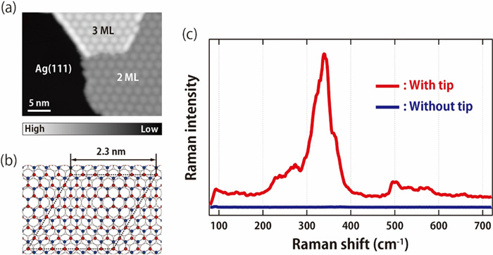 Fig.2 Tip-enhanced resonance Raman spectrum of ultrathin ZnO films on a Ag(111) surface.