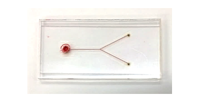 Fig.2 Welding sample of microchannel (red ink poured)