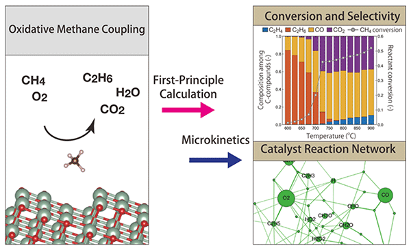 Figure 2. Concept of the study