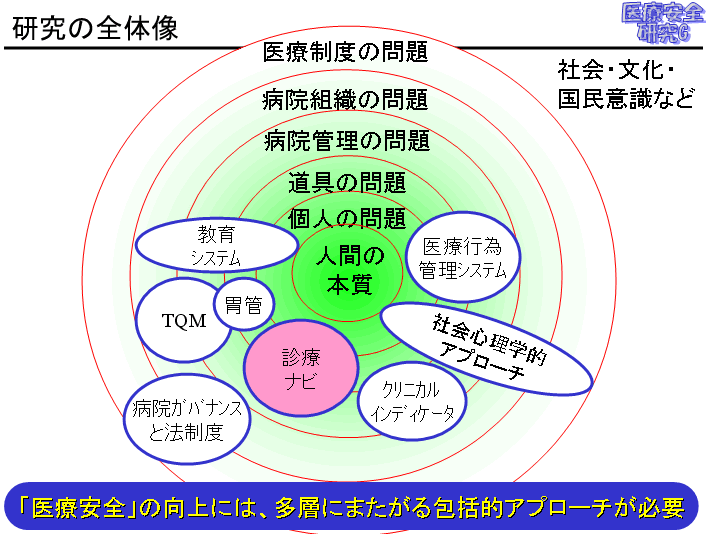 研究の全体像