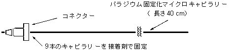 図1