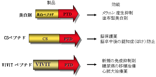 開発製品例と効能