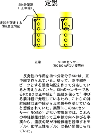 図２