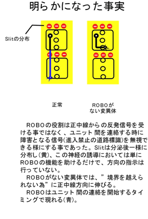 図２