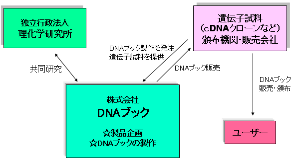 事業形態