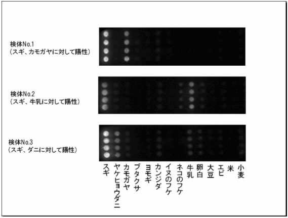 実施例：　検体を付着させ検出対象のタンパク質が同定されたチップ