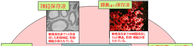 製品例・実施