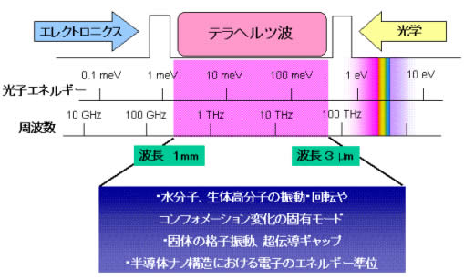 図１　テラヘルツ波