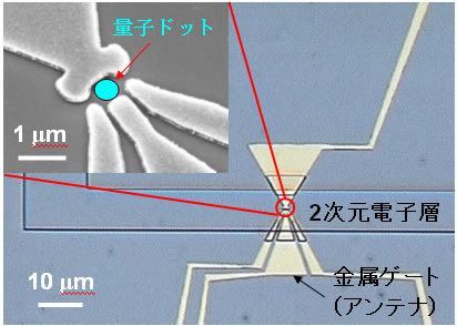 図２　量子ドット検出器