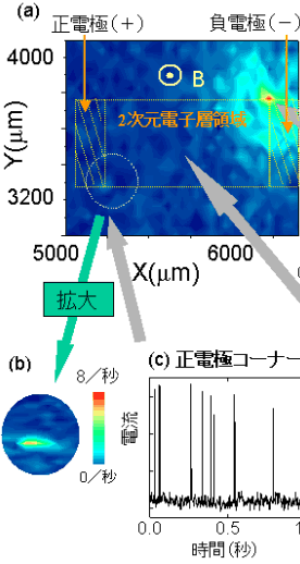 図４　テラヘルツ波の光子計数により得られた画像