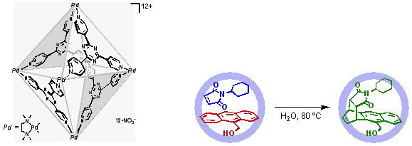 図１　かご状化合物の構造式とその内部空間でのディールス・アルダー反応