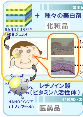 開発した技術概要