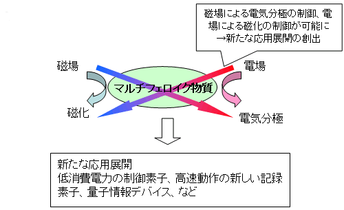 マルチフェロイク物質