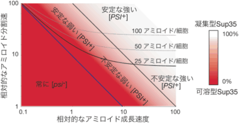 図２　異なるアミロイド凝集状態を示すプリオン株におけるアミロイドの成長速度と分割速度との関係