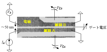 図２