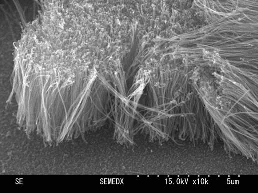 図２．合成されたカーボンナノチューブ