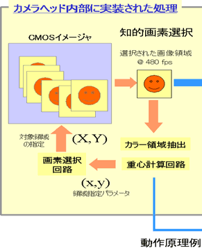 カメラヘッドの動作原理