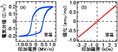 図２：作製した結晶の強誘電性と常磁性