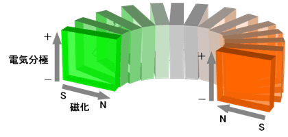 図４：強誘電性と磁性を併せ持つ特殊な磁石が示す非相反性