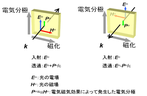 図５：サンプルに入射する光の向き（図中の黒矢印）によって透過光の強度が異なることの説明