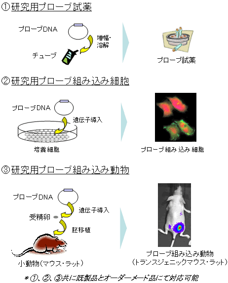 製品例・実施例