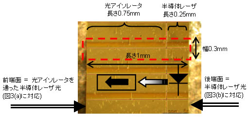 図2　分布帰還型半導体レーザと半導体導波路光アイソレータの一体集積素子の光学顕微鏡写真