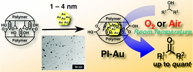 図１　金ナノクラスター担持高分子触媒の模式図