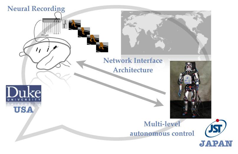 Figure 2 Experimental overview