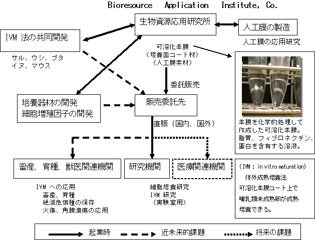 事業形態