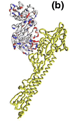 図２(b)