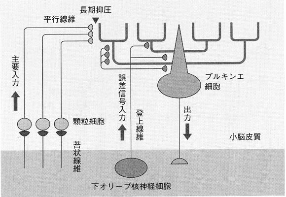 図２