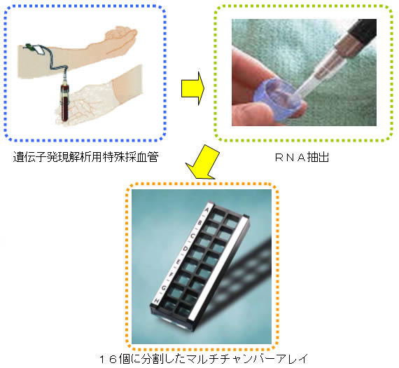 図１．測定方法（１枚で１６検体を同時測定）