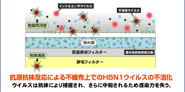 抗原抗体反応による不織布上でのH5N1ウィルスの不活化