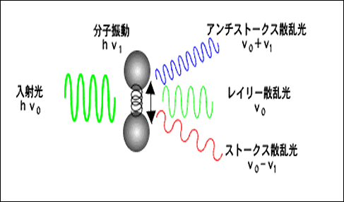 図１