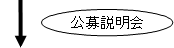 公募説明会