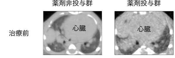 図２（治療前）