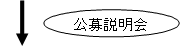 公募説明会