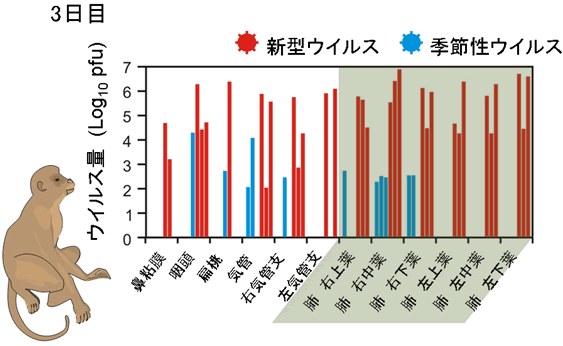 図1