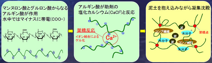 図１